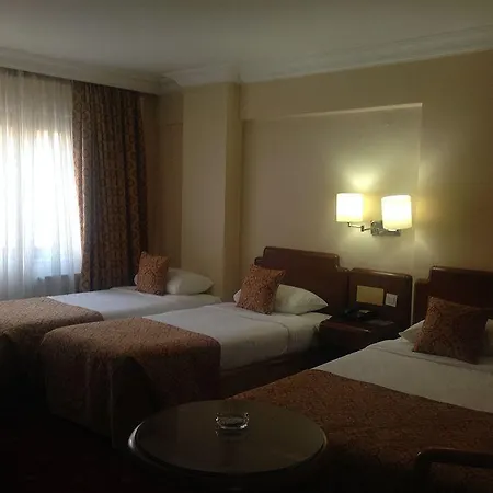 Buyuk Sahinler מלון 4*