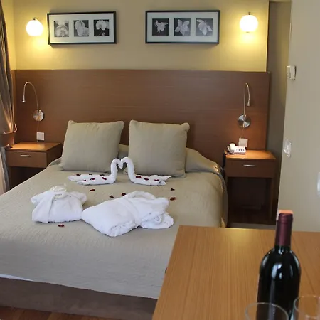 Hotel Buyuk Sahinler Istanbul