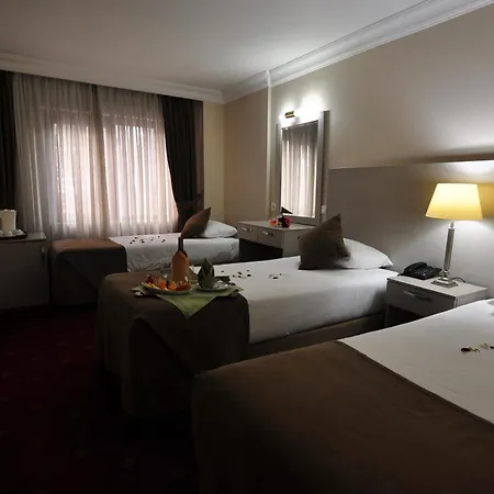 Hotel Buyuk Sahinler 4*