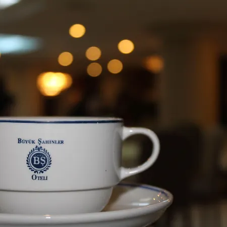 Buyuk Sahinler Hotel