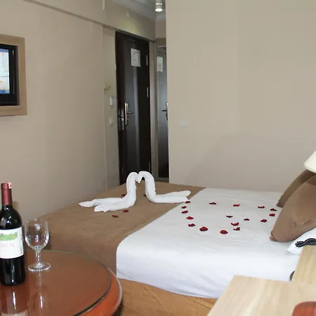 Hotel Buyuk Sahinler Istambul